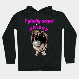 I gladly Accept Bribes Hoodie